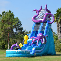 DEEP SEA 26 FT SLIDE